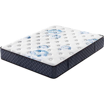 Roll up Memory foam Tight top continuous spring mattress for student dormitory
